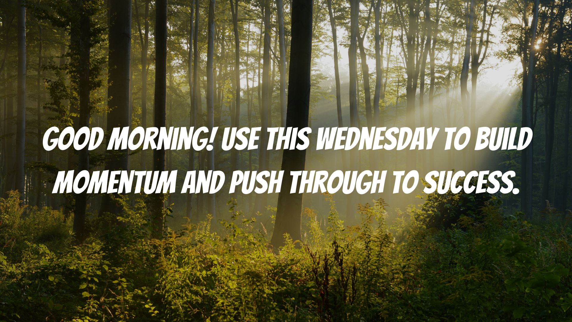 Wednesday Morning Quotes